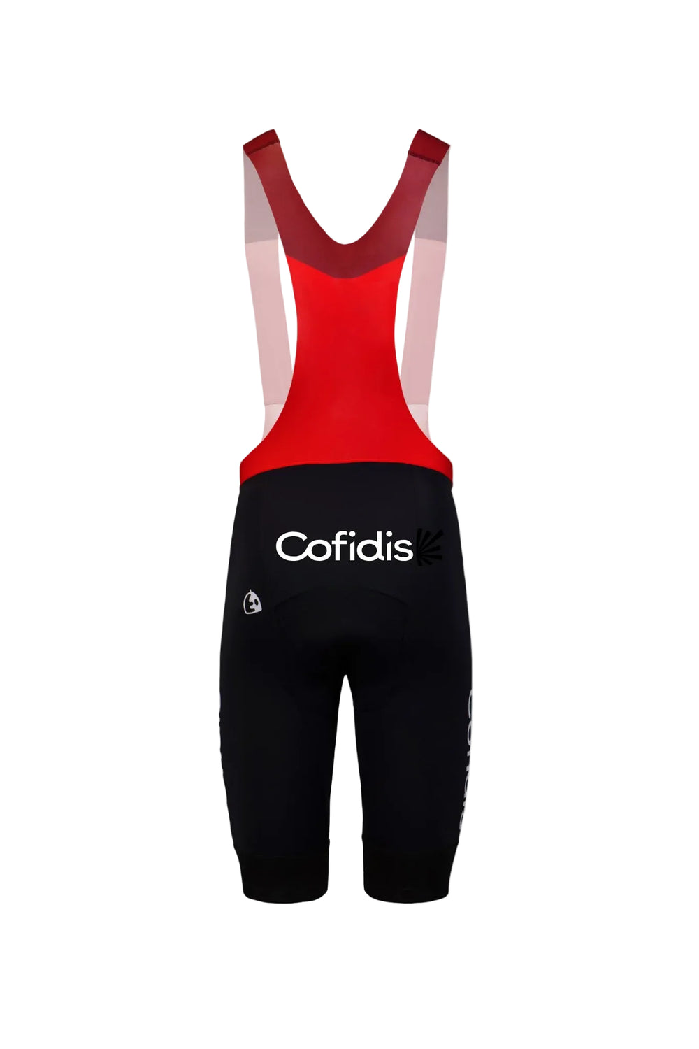 Cuissard court 2026 - Team COFIDIS x ETXEONDO (face dos)